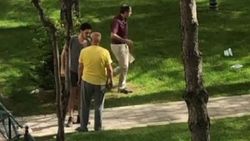 Sokak hayvanlarına yiyecek bırakan yaşlı adama saldırdı