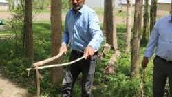 Hakkari'de terk ettikleri evden 60 yılan çıktı