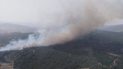 Muğla'da orman yangını kontrol altında
