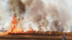 Suriye'de YPG/PKK sivillerin tarım arazilerini yaktı