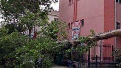 Ankara'da fırtına, günlük yaşamı olumsuz etkiledi