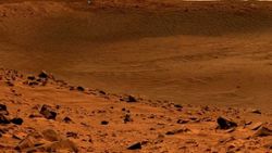 Astronotlar Mars'ta roka yetiştirmek istiyor