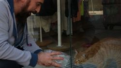 2 gündür mağazada mahsur kalan kedi kurtarıldı