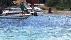 Muğla'da köpek balığını mızrakla öldürdüler