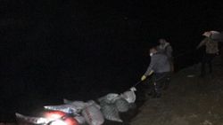 Van'da kaçak avlanan 15.5 ton inci kefali ele geçirildi