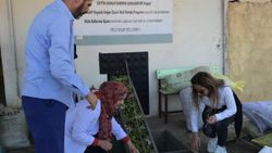 Derik zeytinyağının ilk ihracatı Tayvan'a oldu
