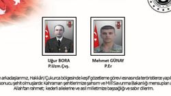 Hakkari'de, keşif gözetleme faaliyetine saldırı: 2 şehit