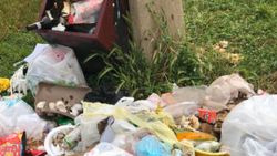 İstanbul'daki iki sahil çöplüğe döndü