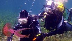 Su altında internet erişimi sağlayan teknoloji: Aqua-fi
