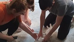 Düzce'de kediyi kurtarmak için kalp masajı yaptı