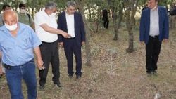 Denizli'de 99 yıl önce katledilen 83 Türk'e ait mezar