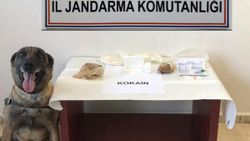 Bolu'da yolcu otobüsünde 360 gram kokain yakalandı