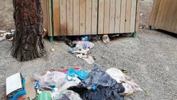 Samsun'da piknikçilerin doğa katliamı