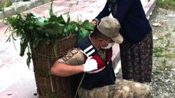 Artvin'de jandarma, yaşlı kadının yardımına koştu