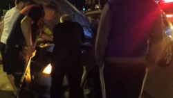 Zonguldak'ta aracın motoruna sıkışan kedi kurtarıldı