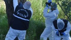 Sivas'ta, Kızılırmak kenarındaki ağaca kendini astı
