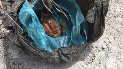 Tokat'ta fide dikmek istediği bahçesinde el bombası buldu