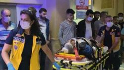 Afyonkarahisar'da ailelerin hayvan otlatma kavgası