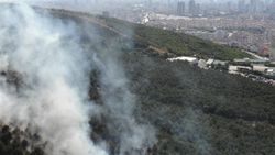 İstanbul'da orman yangını