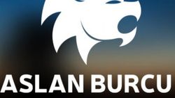 Aslan Burcu Ozellikleri Nelerdir Aslan Burcunun Olumlu Olumsuz Ve Fiziksel Ozellikleri