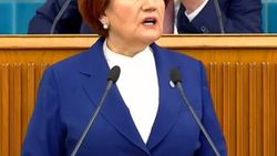 Akşener: Güzelim Gelibolu ormanları yandı gitti