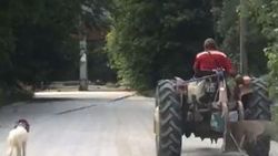 Çanakkale'de, köpekleri traktöre bağlayan çiftçi