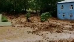Bingöl'de sel ev ve ekili alanlara zarar verdi