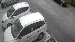 Maltepe’de iki köpeği güpegündüz çaldı