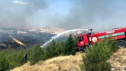 Gaziantep'te orman yangını