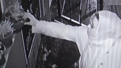 Cam korkuluklardan duran saksıdaki çiçeği çaldı