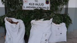 Kilis'te 43,2 kilogram esrar ele geçirildi