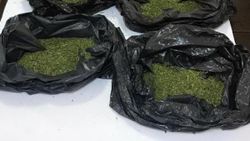 İzmir'de 1 kişi 120 gram esrarla yakalandı