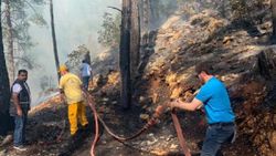 Burdur'da mangal ateşi, 46 dönüm araziyi kül etti