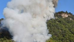Manisa'da orman yangını