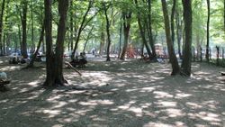 Belgrad Ormanı’nda bayram yoğunluğu