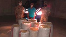 2 ton Antep fıstığı çalan şüpheliler yakalandı