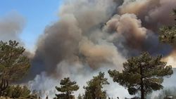 Ege ormanları alevlere teslim oldu