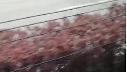 Kayseri'de komşunun tehdit ettiği kadın, yardım bekliyor