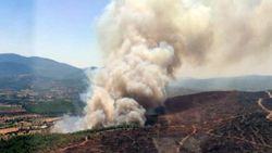 Muğla'da orman yangını: Havadan ve karadan müdahale sürüyor