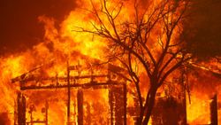 California'da yangınlar 625'ten fazla noktada sürüyor