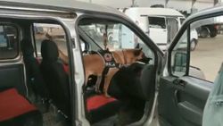 Van’da piyasa değeri 390 bin TL olan uyuşturucuya el konuldu
