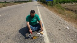 Adana artisans cook eggs with sausage on asphalt