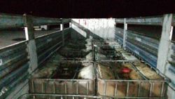 Niğde’deki oto lastik dükkanında 10 ton kaçak akaryakıt ele geçirildi
