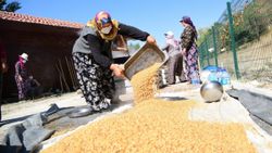 Mamak'ta asırlık bulgur kaynatma geleneği için kazanlar kuruldu