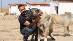 PÖH’ün yanında görev alacak kangallar, göreve hazır