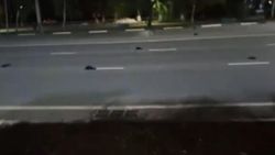 Rusya sokakları ölü kargayla doldu