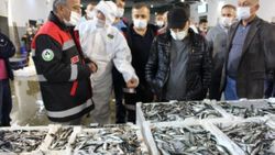 Yasa dışı balık avı cezaları 50 bin liraya kadar çıkartıldı