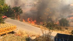 Malatya'da sigara izmariti yangına sebep oldu