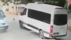 Kocaeli'de ezdiği kedi can çekişirken bir kez daha üzerinden geçti