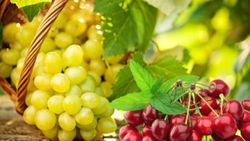 Pandemide yaş meyve sebzeye artan rağbet, ihracatı şahlandırdı